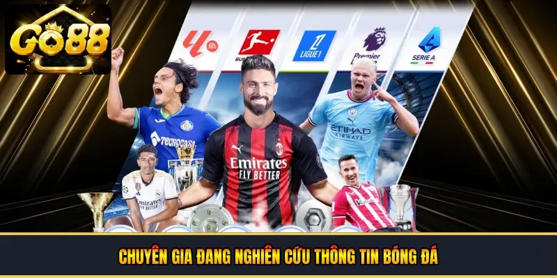 Chuyên gia đang nghiên cứu thông tin bóng đá