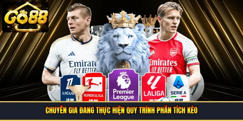 Chuyên gia đang thực hiện quy trình phân tích kèo