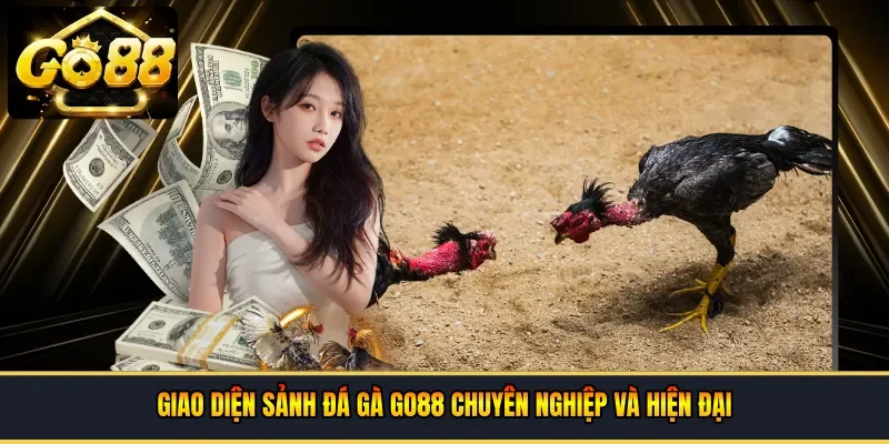 Giao diện sảnh đá gà Go88 chuyên nghiệp và hiện đại