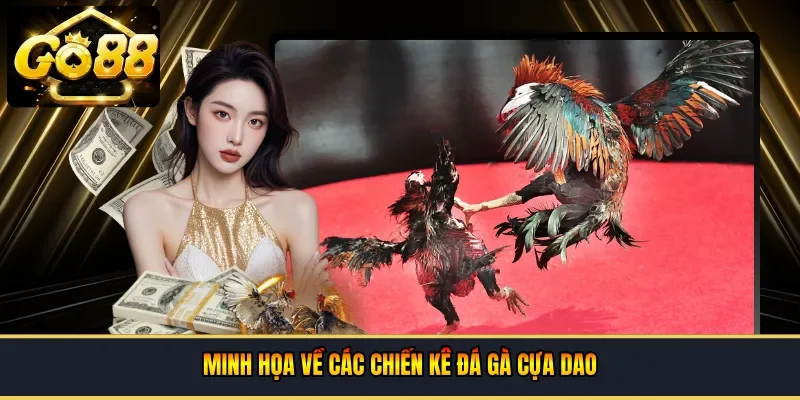 Các chiến kê đá gà cựa dao