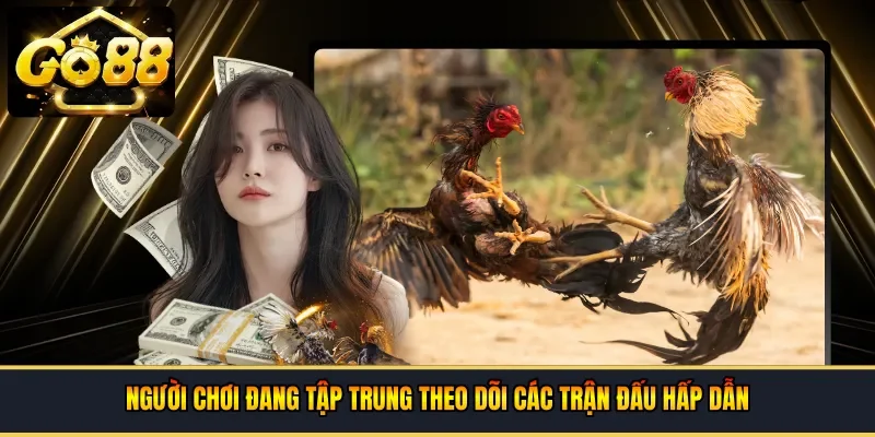 Người chơi đang tập trung theo dõi các trận đấu hấp dẫn